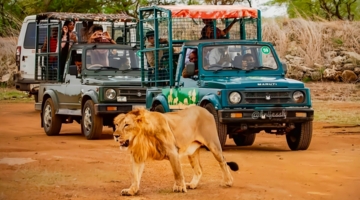 Devaliya Jeep Safari