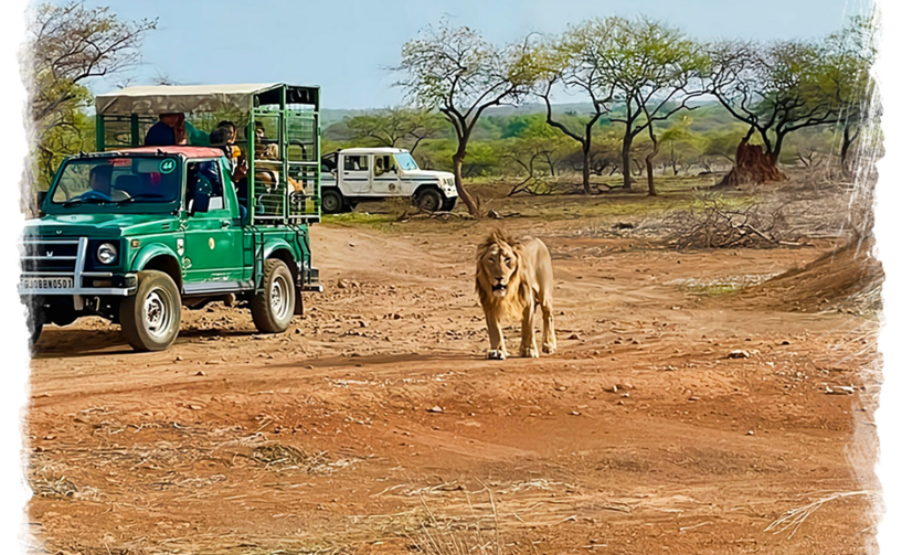 Devaliya Jeep Safari